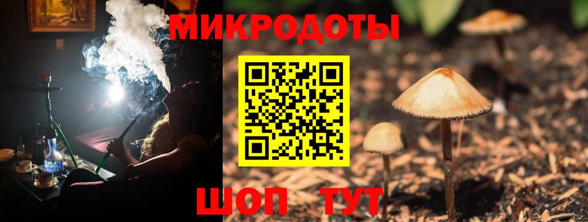 Псилоцибиновые грибы мицелий  Вход с VPN  Нарткала  Галлюциногенные грибы Psilocybine cubensis 